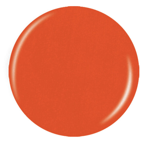 CG Coral Star - Bild 2